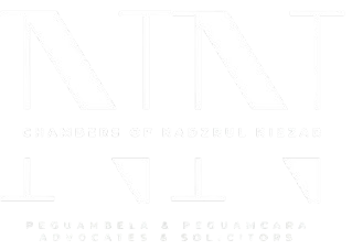 chambersofnadzrulniezar.com